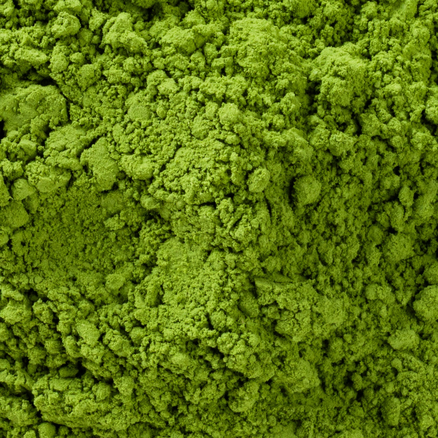 Ceremonial Grade Matcha TO-GO (12*2g)